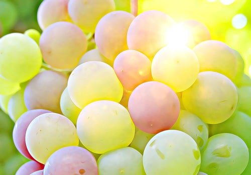 Grapes Product Image